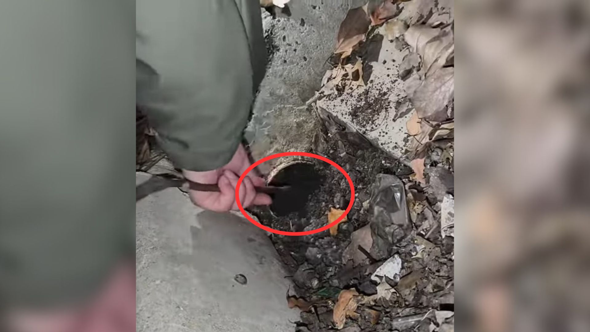 Determined Rescuer Refuses To Give Up On A Newborn Puppy Stuck In A Sewer Pipe