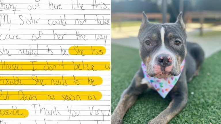 dog and heartbreaking note