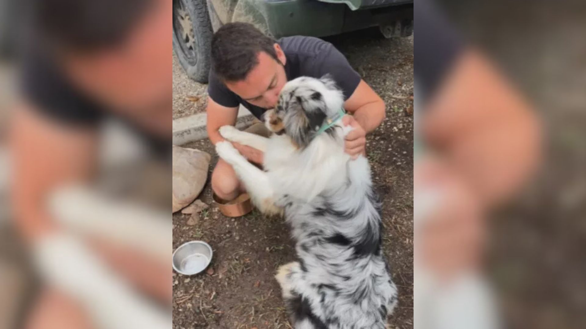 Texas Woman Can’t Understand Why Her Husband Doesn’t Want A Dog, Until She Discovers The Shocking Reason