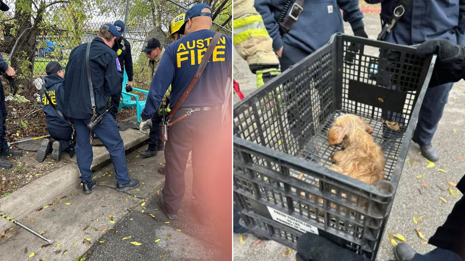 Texas Woman Noticed Furry Animal Stuck In A Gutter Only To Realize What It Is