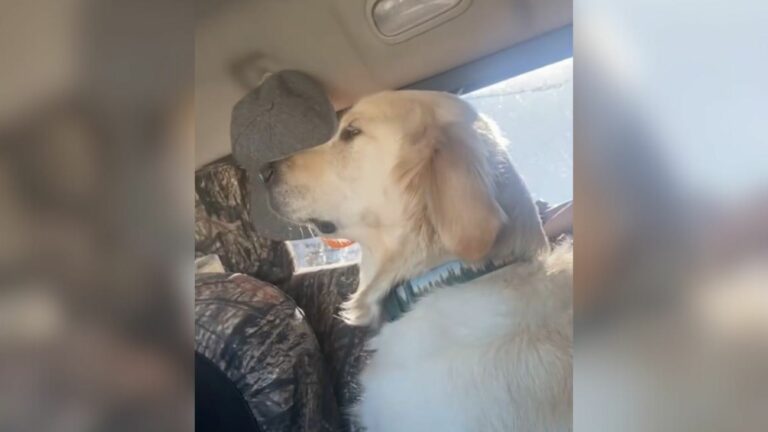 Woman Was Happy To See Her Friend’s Dog