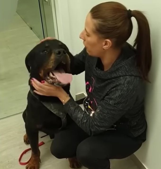 woman cuddling with dog