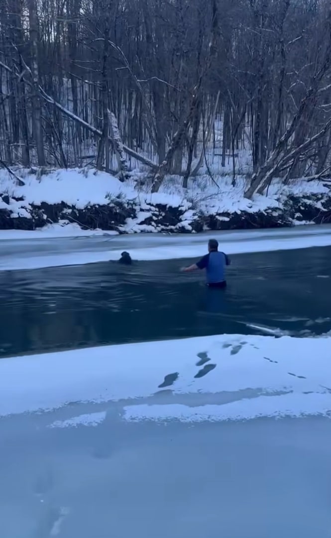 A man approaches a dog in an icy river