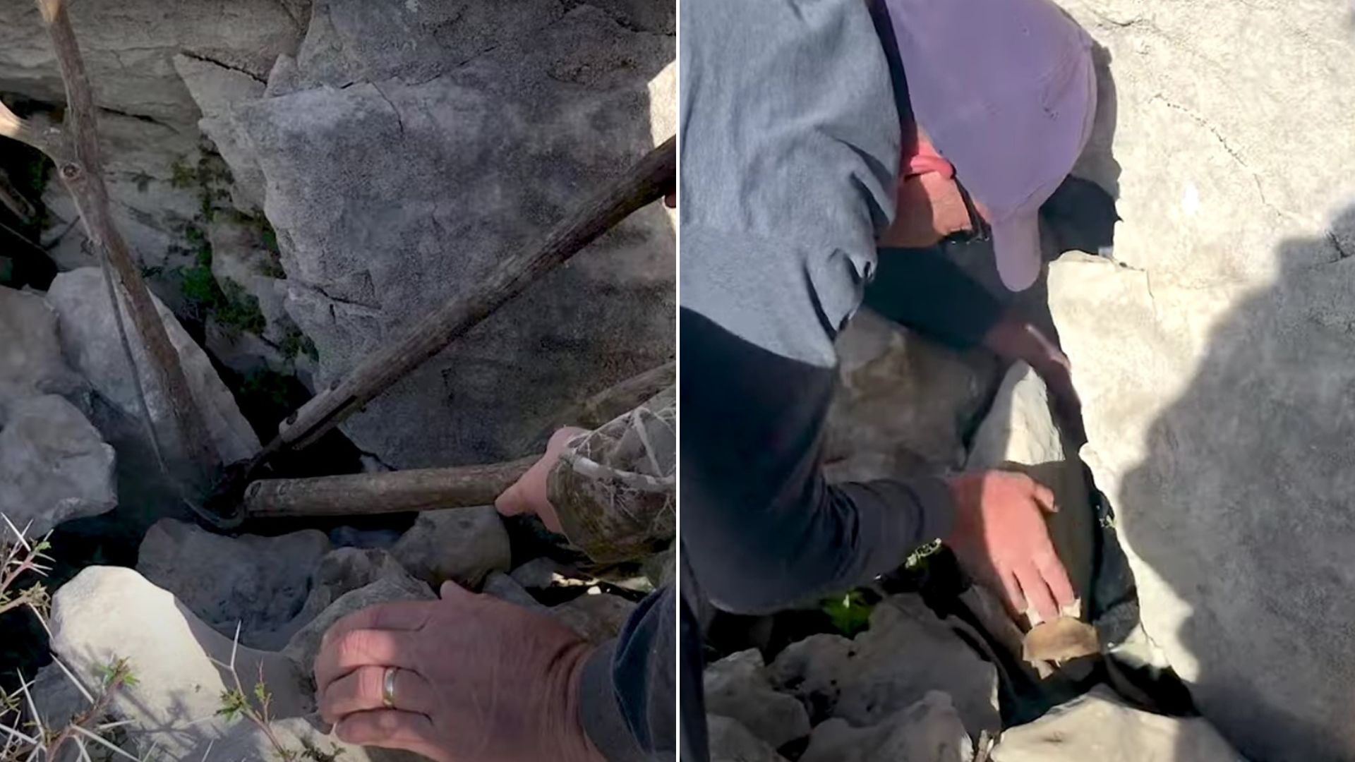 Texas Family Realized There Was Something Furry Stuck Under A Rock In The Mountains