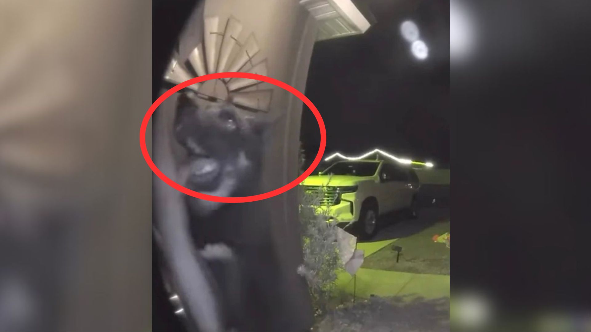 Family Whose Dog Went Missing