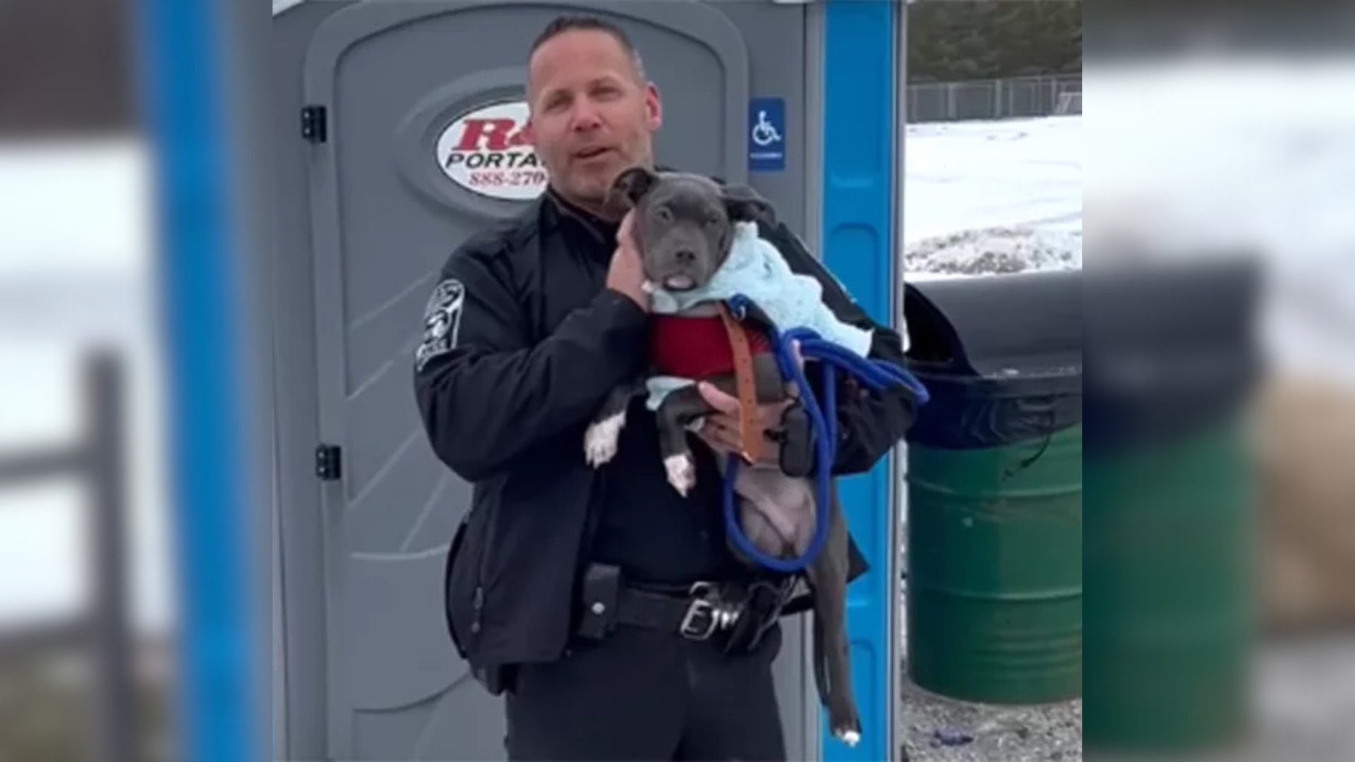 Shock As Park Employee Finds Helpless Pup Covered In Dirt, Freezing In Portable Toilet