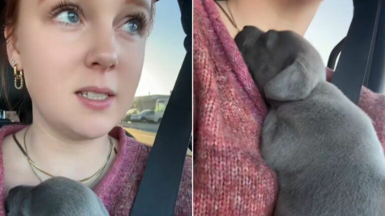 Woman and puppy