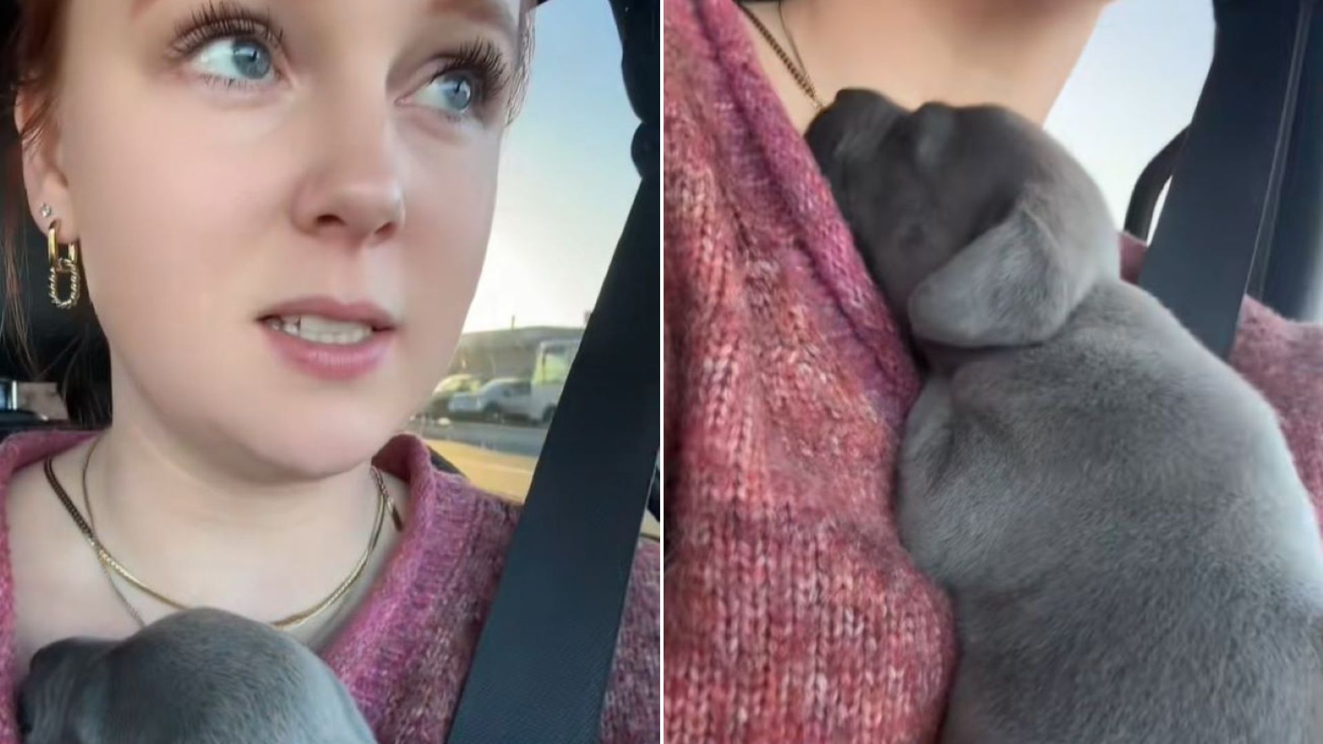 Woman and puppy