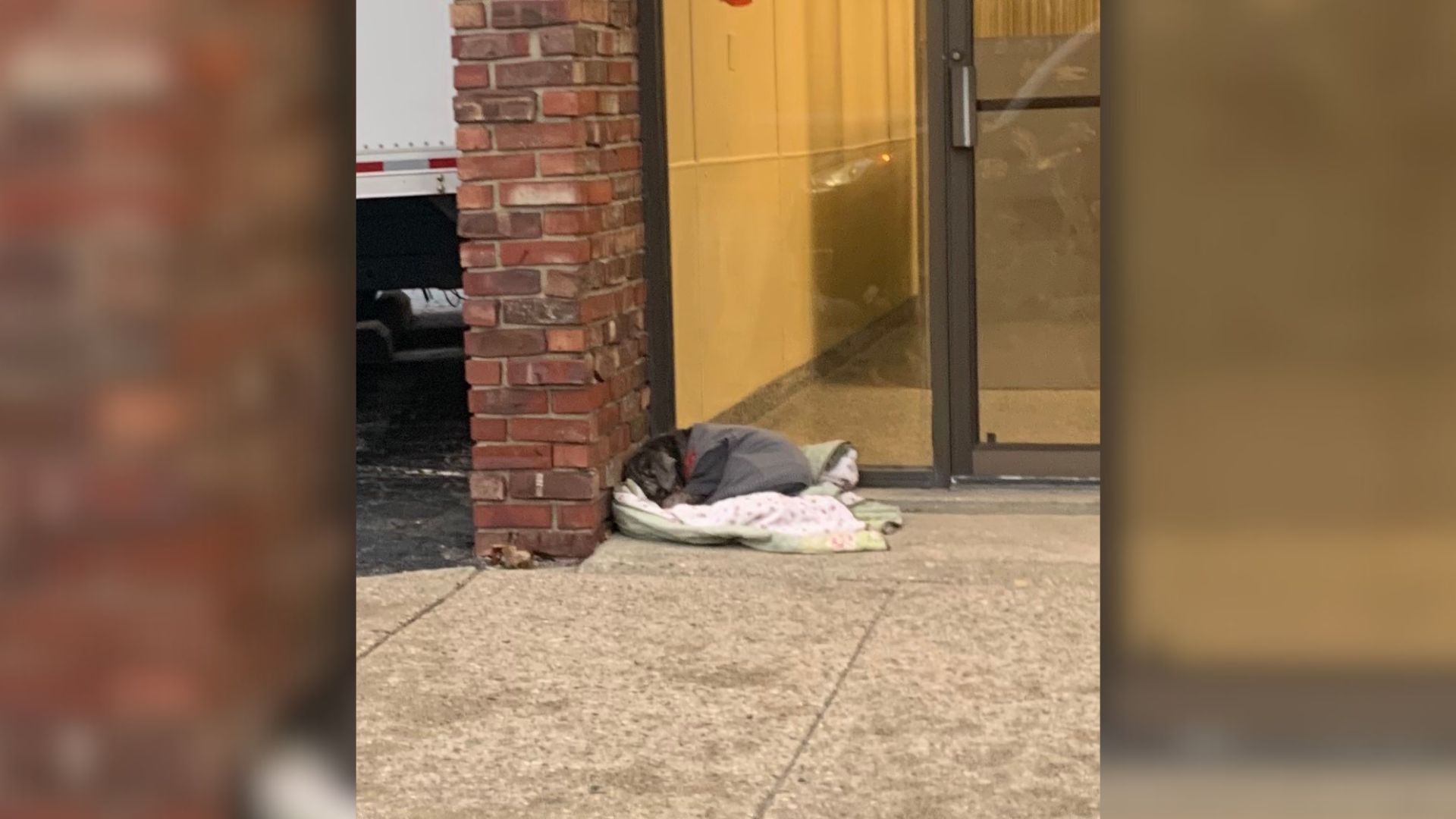 Sick Pup Dumped At Rescue's Front Door On A Cold Night