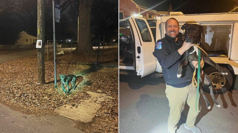 Man saving a freezing dog
