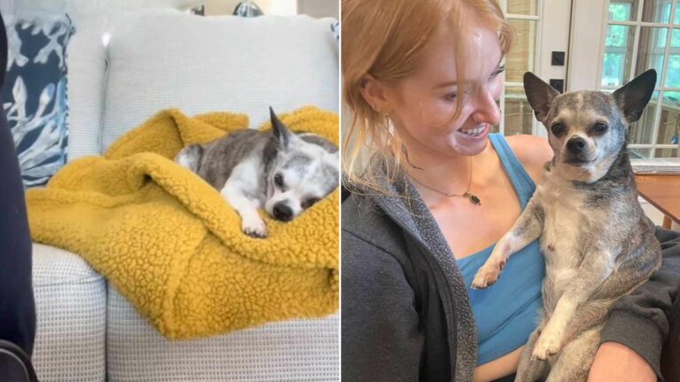 Woman Drove 18 Hours From Ohio To Surprise Her Senior Dog