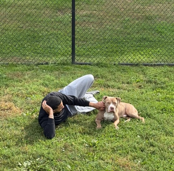 a man lies on the lawn with a dog