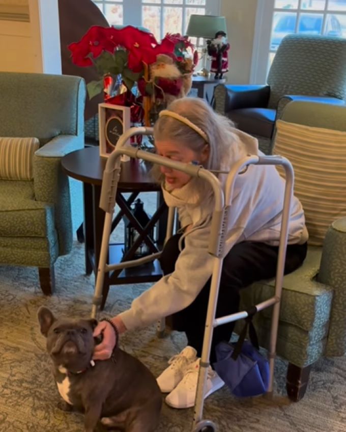 french bulldog in a nursing home