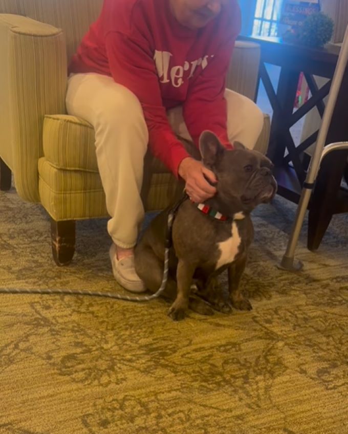man petting french bulldog