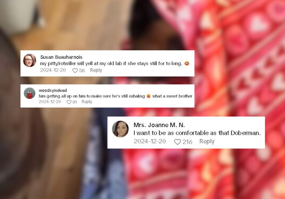 social media comments