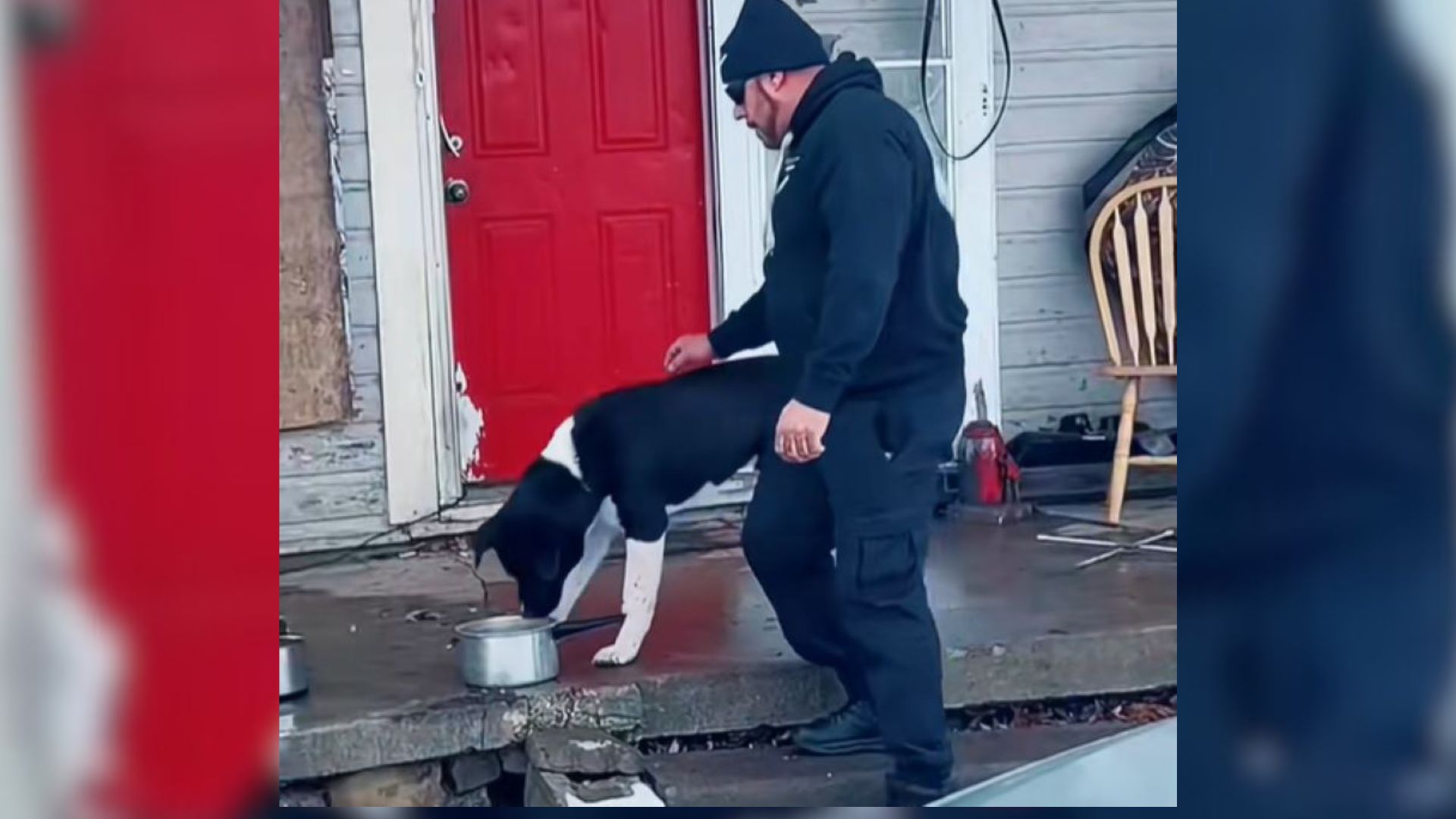 Kind Man From Kansas Tried To Help ‘Unapproachable Dog’ Only To Be Shocked By His Reaction