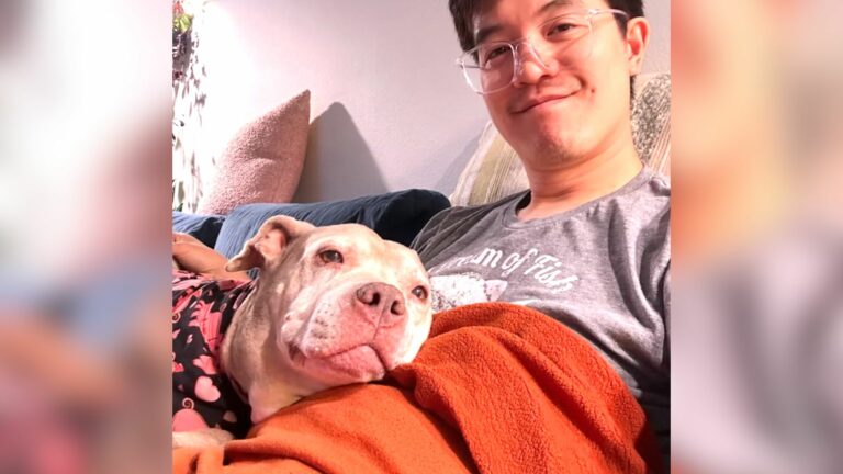 man and dog