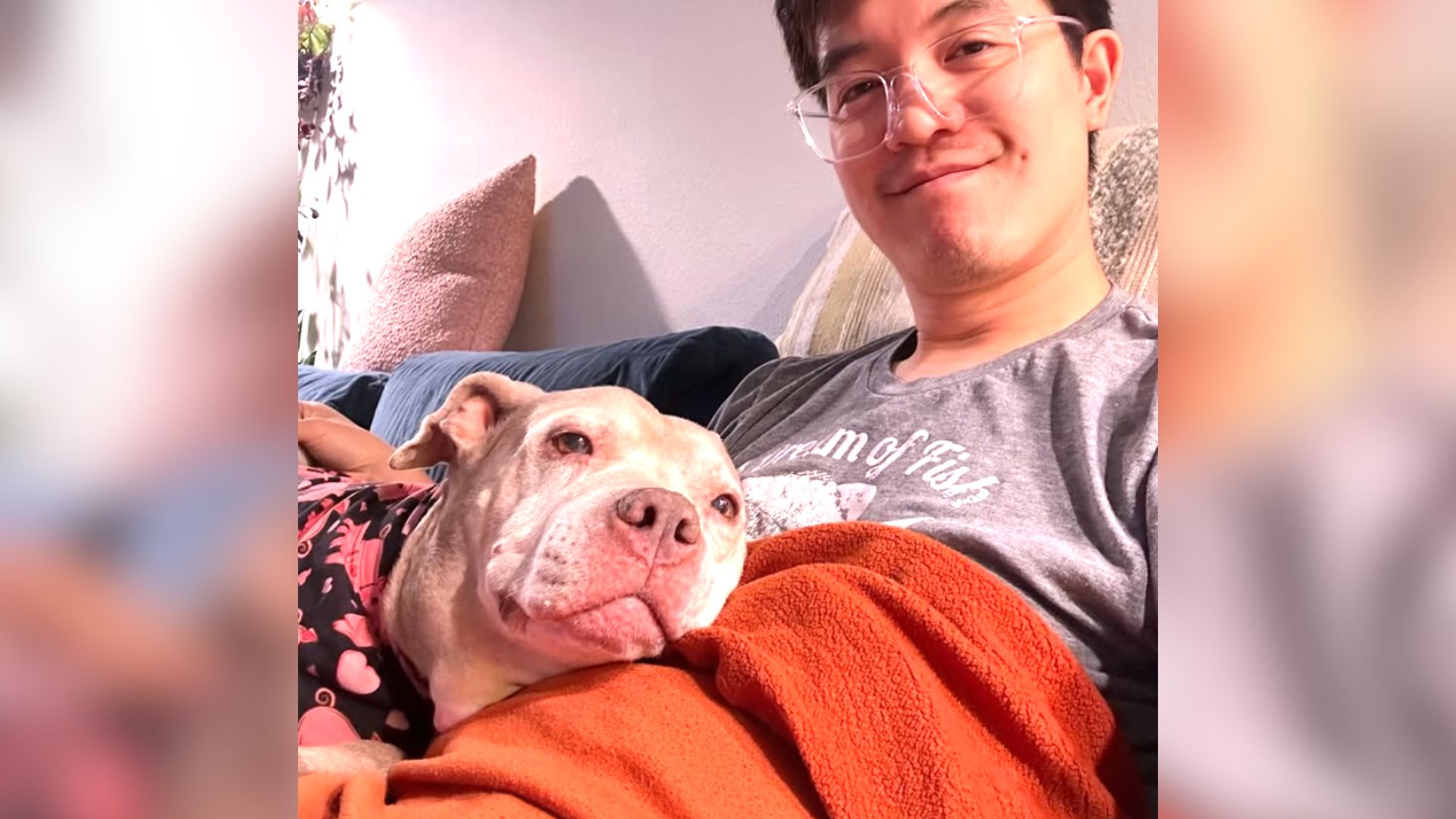Senior Dog Surrendered To The Los Angeles Shelter Hopes To Find Someone Who Will Love Her Forever