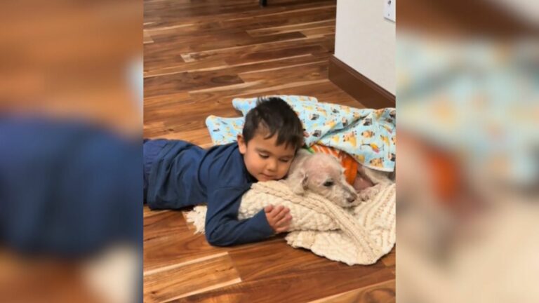 dog and kid
