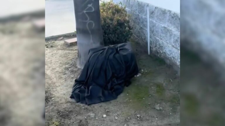 black blanket