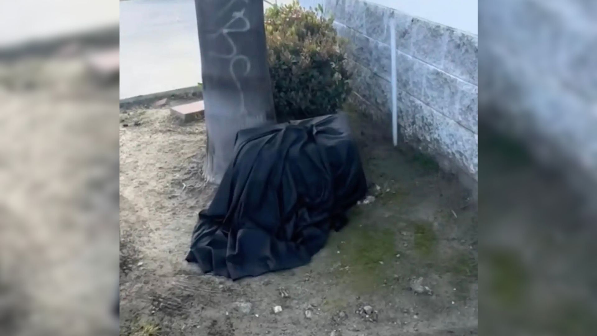 California Staff Member Finds A Mysterious Blanket And Is Shocked To Discover Who Was Hiding Underneath