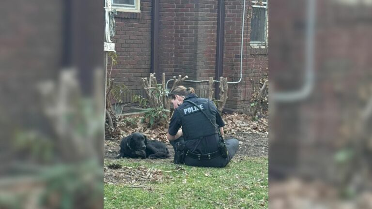small black dog with a police officer