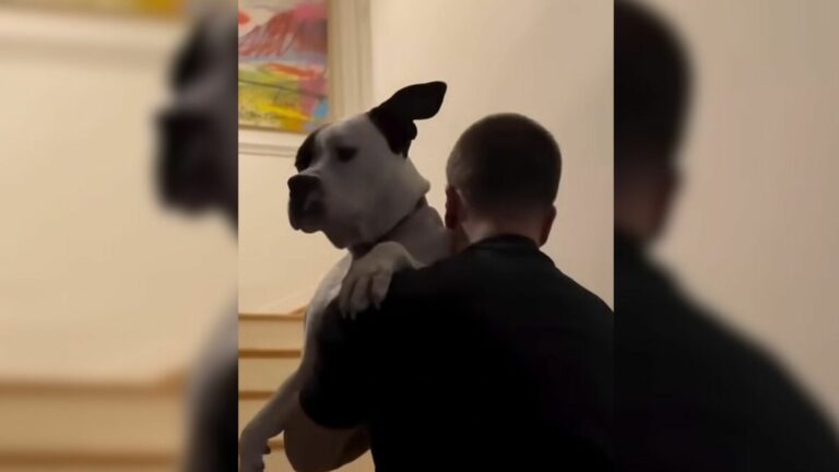 man holding a mother dog