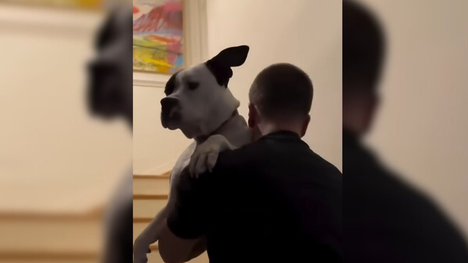 man holding a mother dog