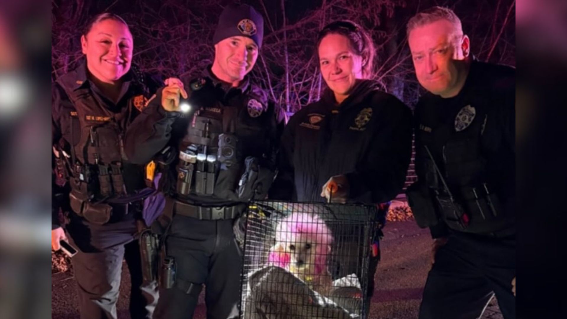 rescue team and dog