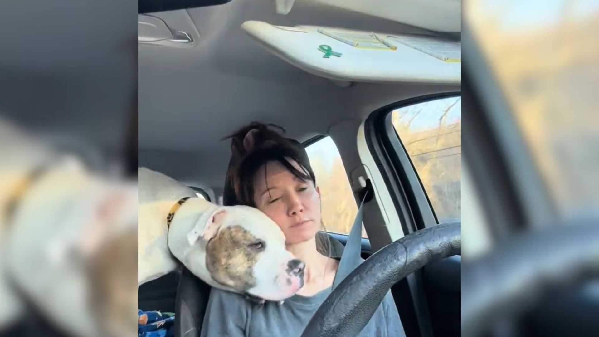 woman and shelter dog