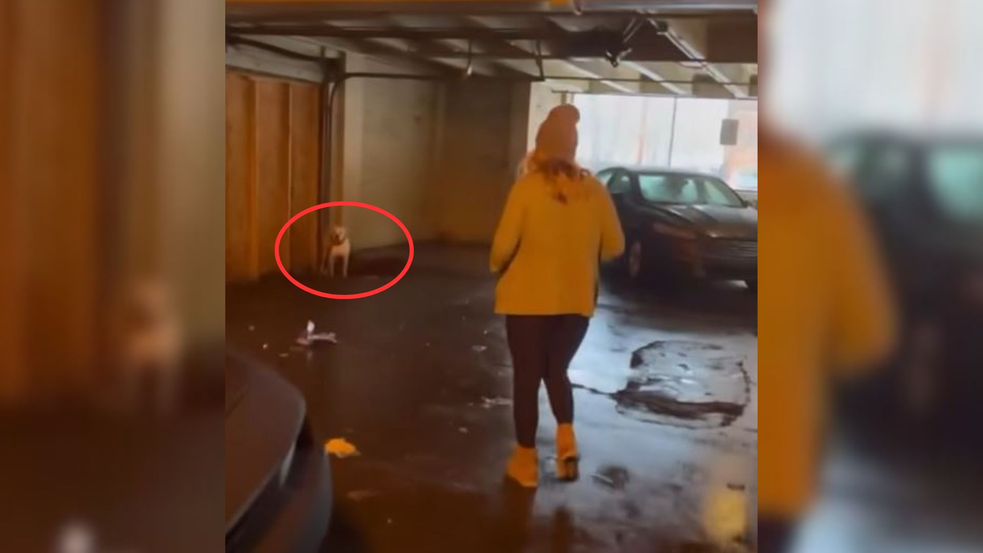 woman and dog in a parking garage