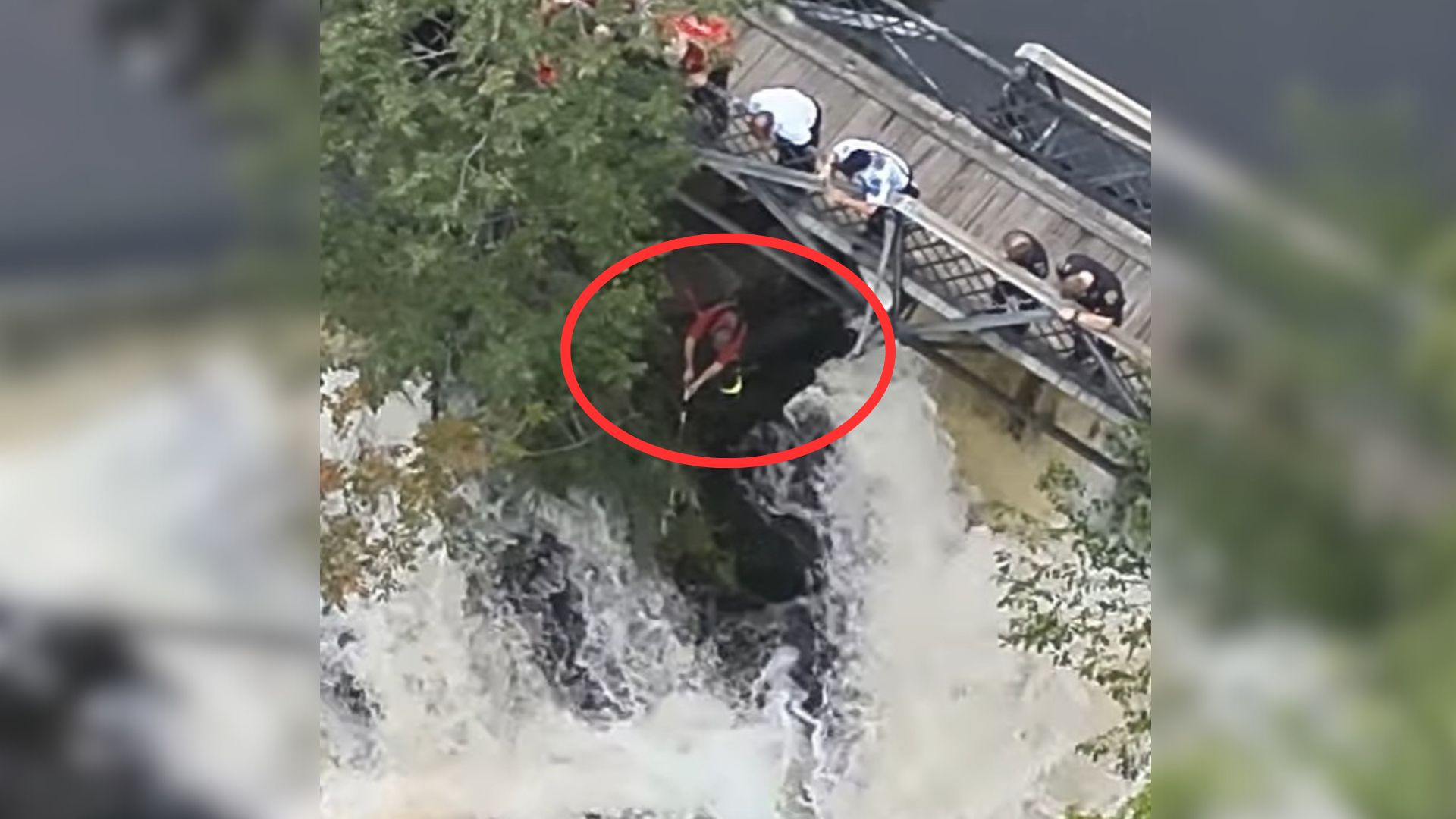 firefighter saving a dog