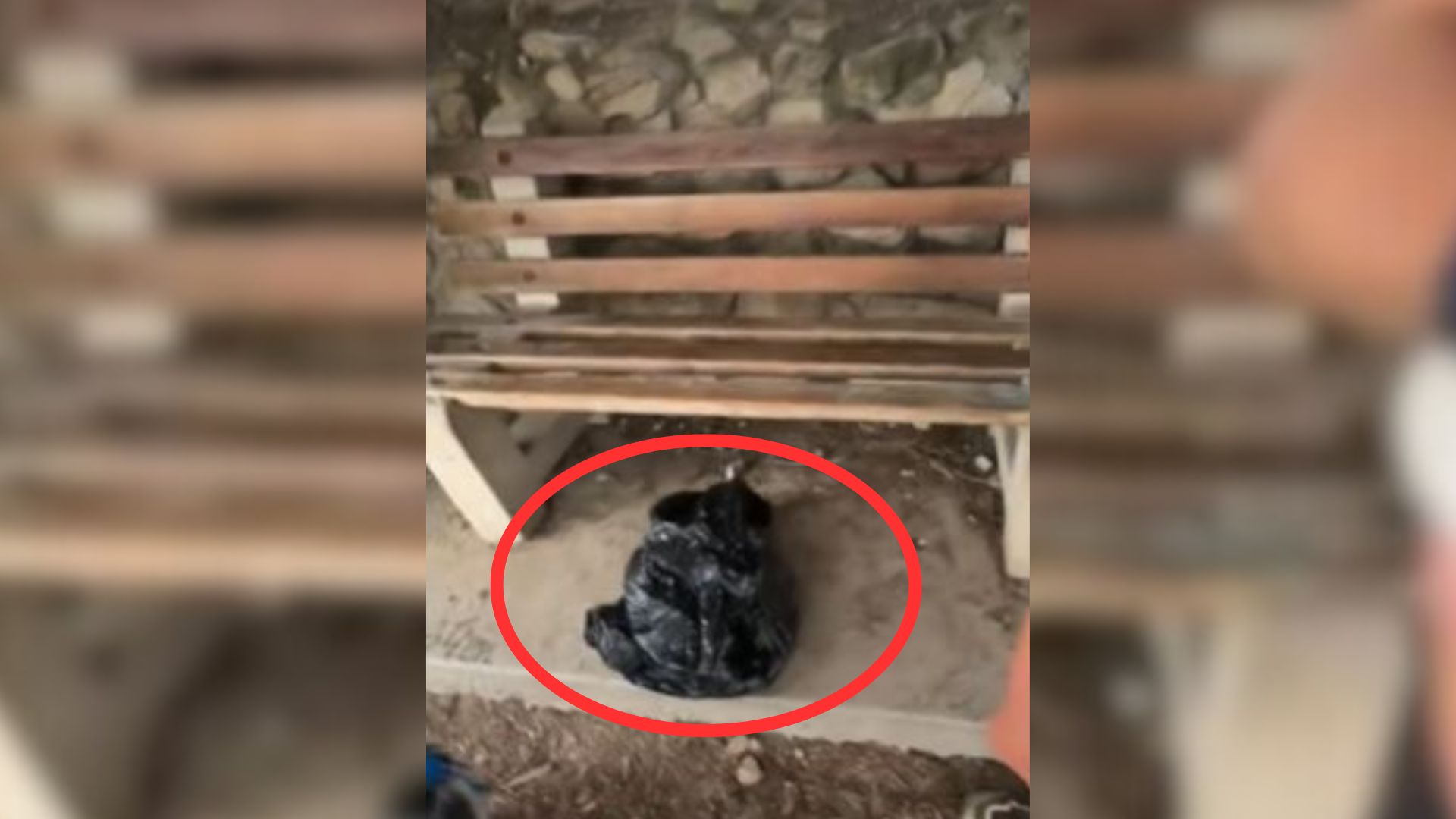California Runner Looks Under The Bench And Sees A Shocking Creature Pop Out Of A Black Trash Bag
