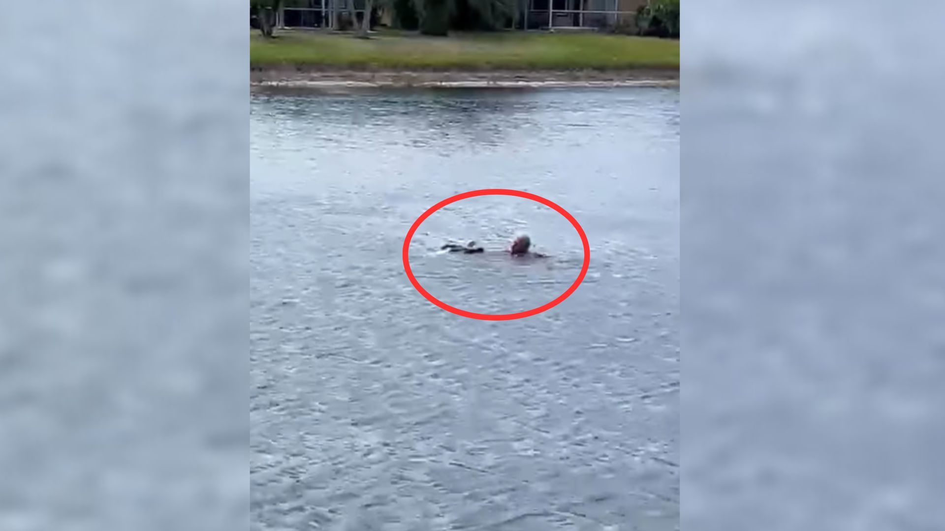 Florida Man Heard Loud Splash In Alligator-Infested Waters Only To Be Shocked By What He Saw