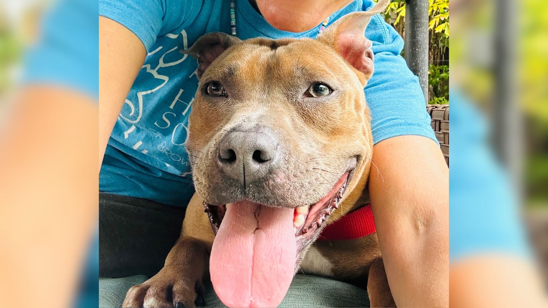 sweet dog and owner