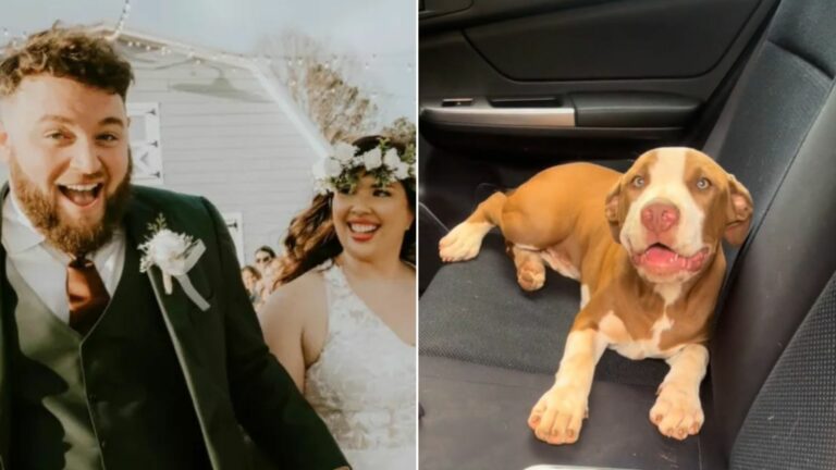 couple and dog