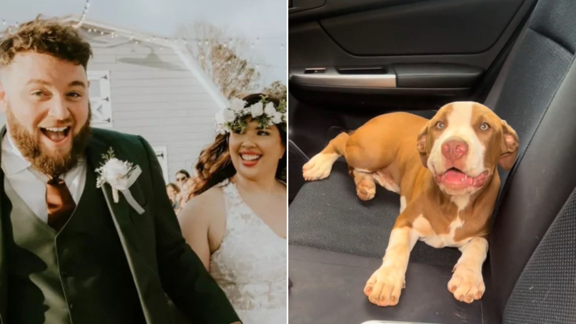 couple and dog