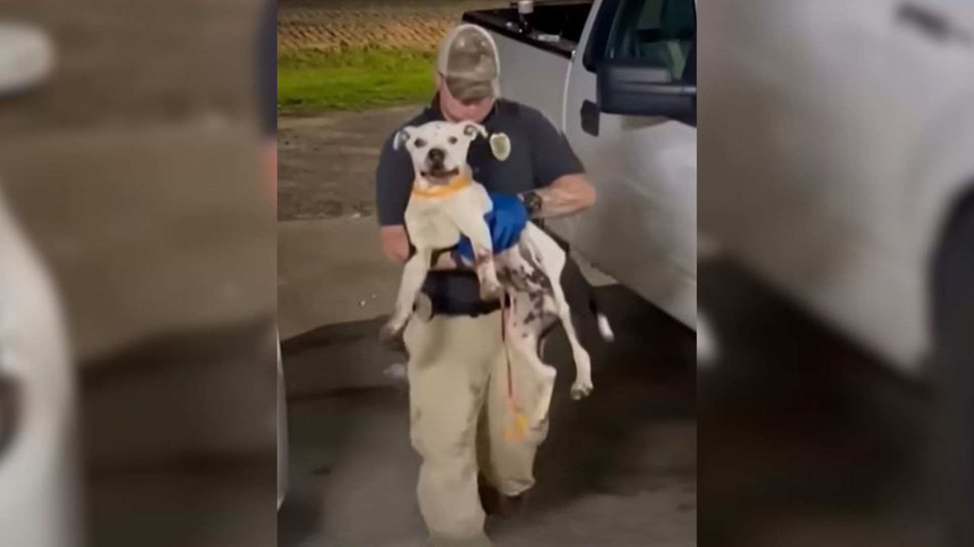 officer and dog
