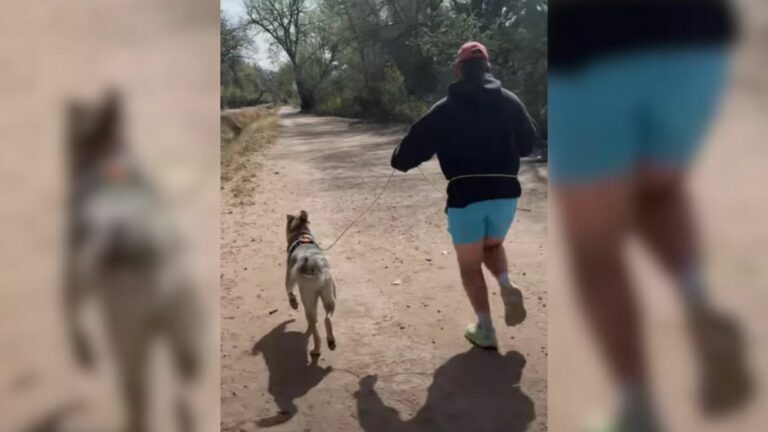 man and dog