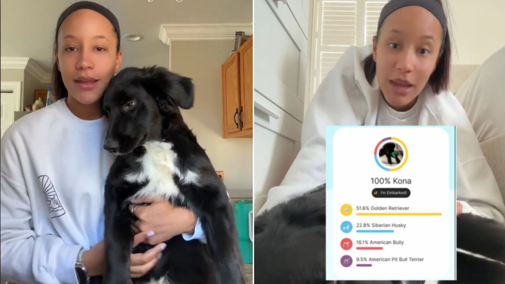 Woman and Labrador