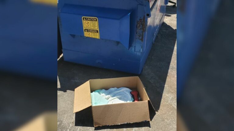 cardboard box