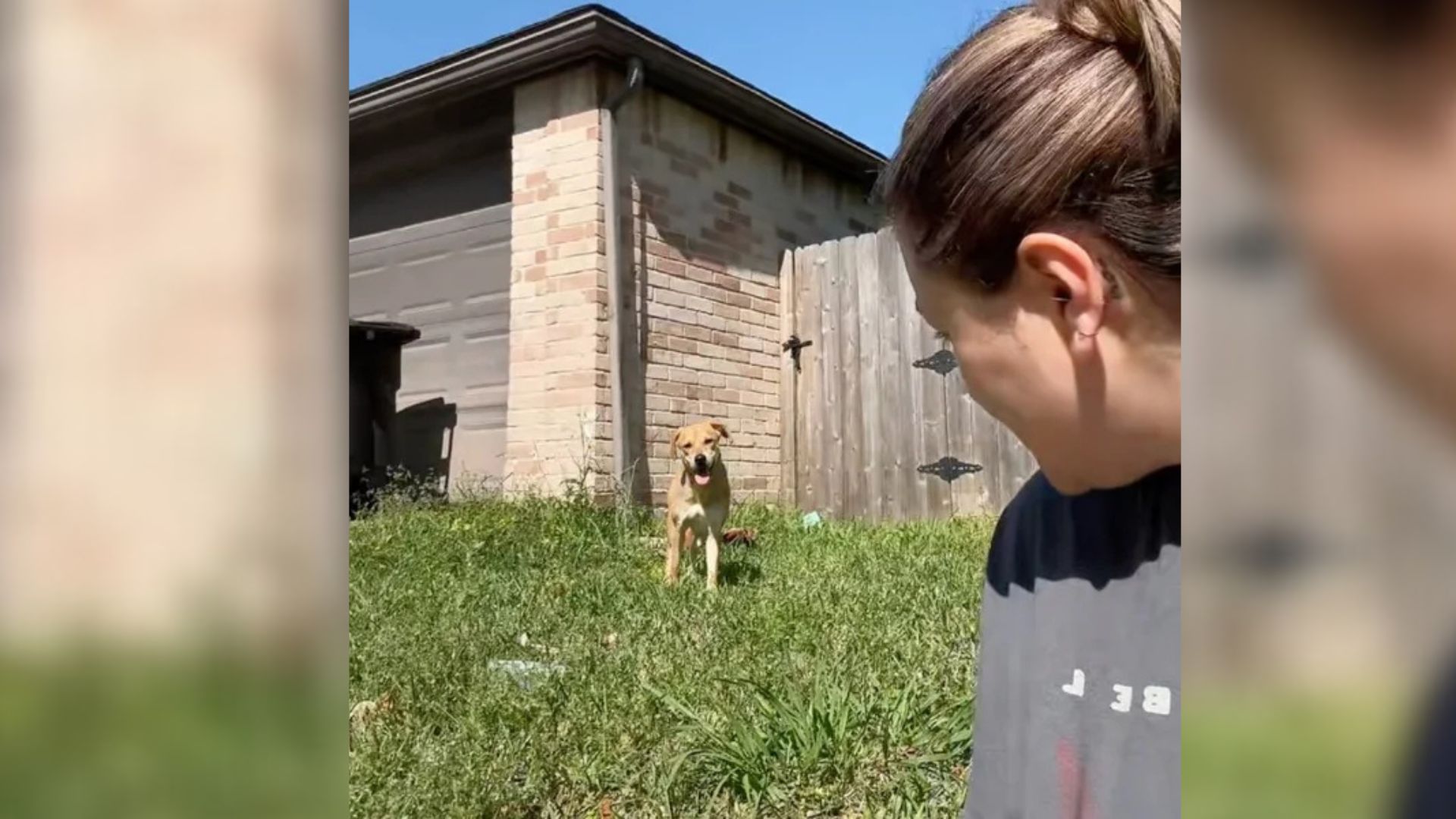 Texas Woman Spent Hours Sitting In The Grass, Trying To Win The Heart Of A Scared Pup