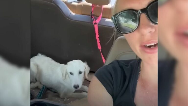 woman and dog