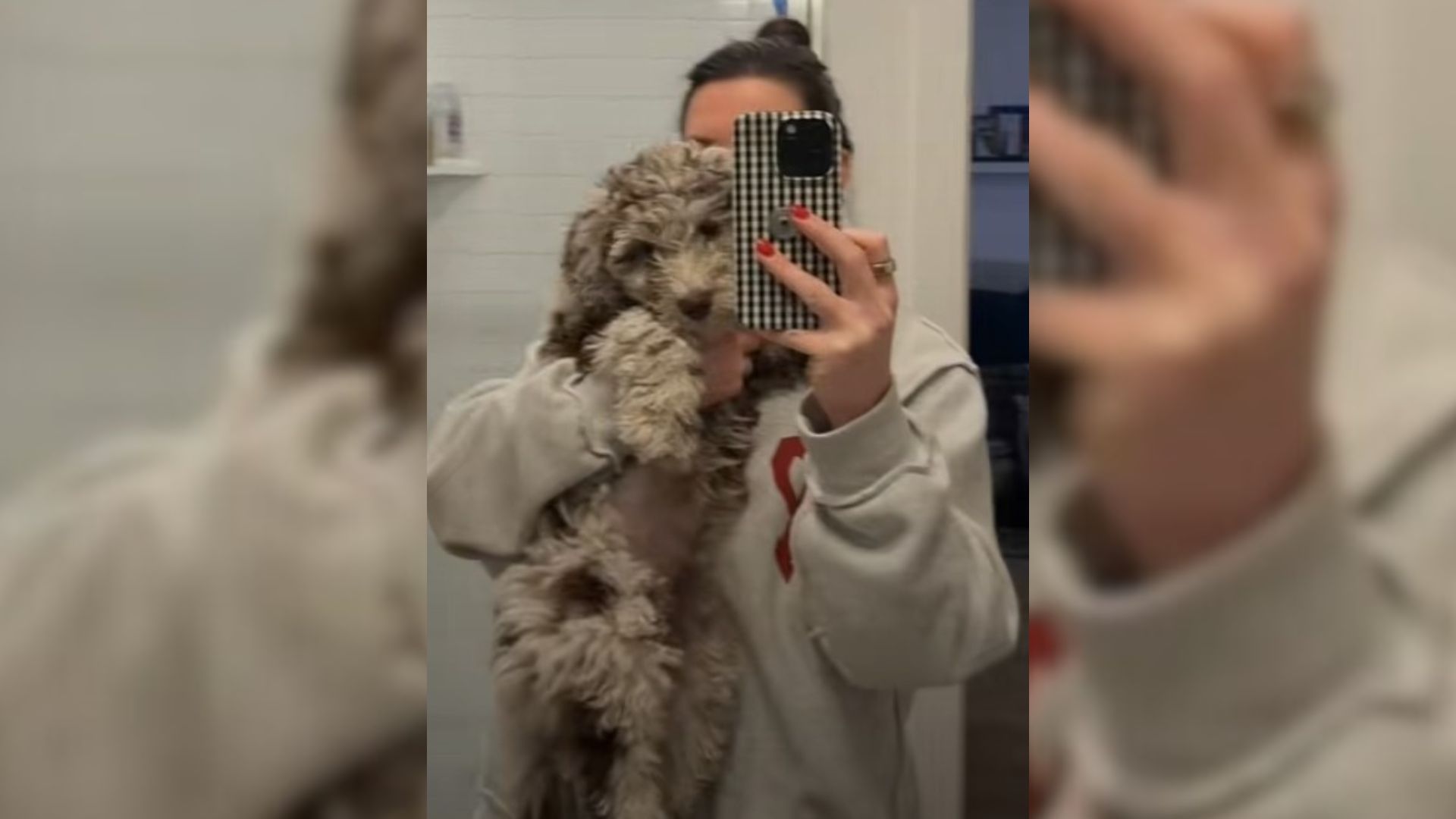 woman and dog in mirror