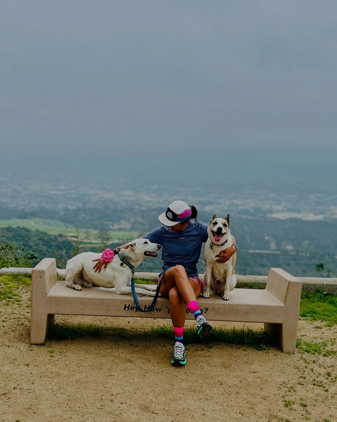 Woman sitting on bench with dogs