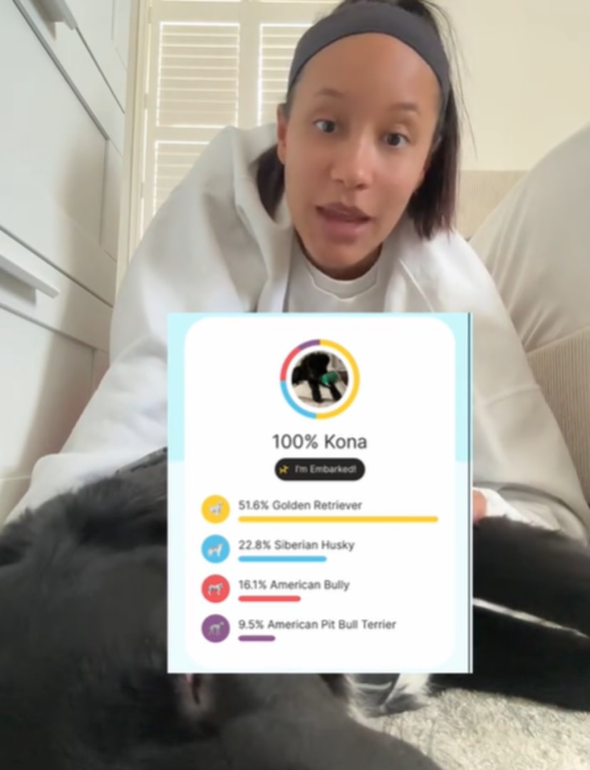 black labrador and woman