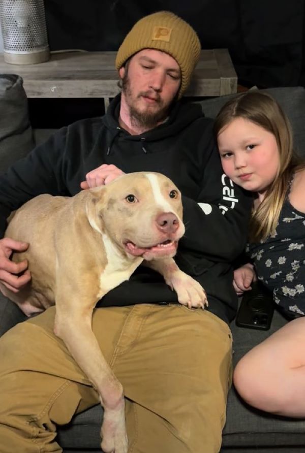 dog and family