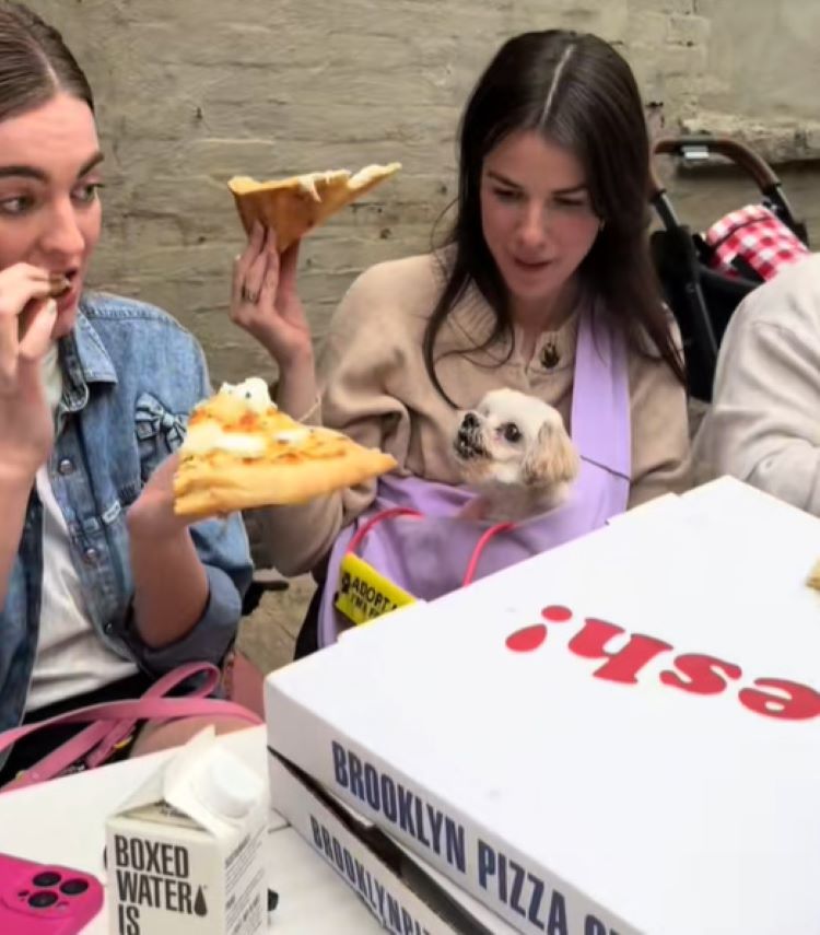 dog and pizza
