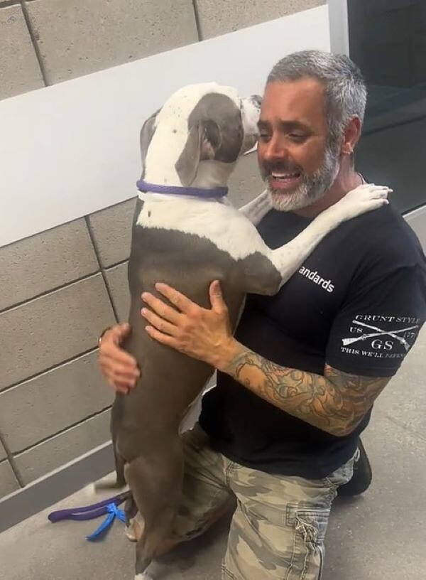 dog jumping on owner