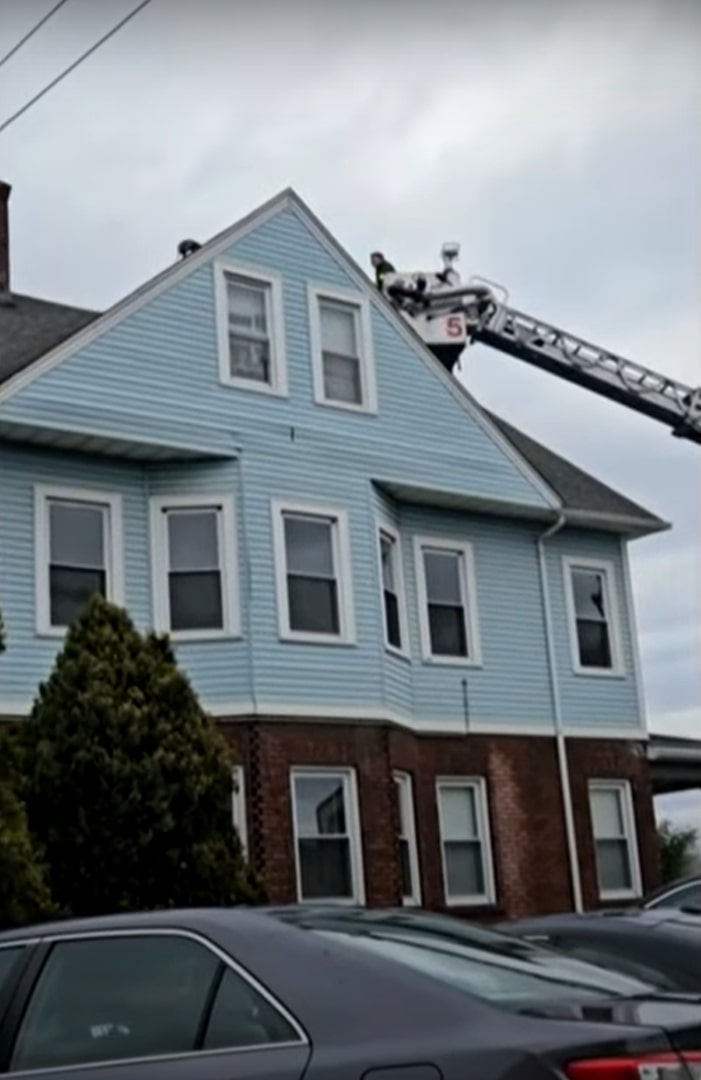 firefighter saving a dog from roof